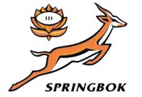 Die Springbokke se kenteken.