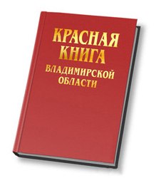 Обложка первого издания (2008)