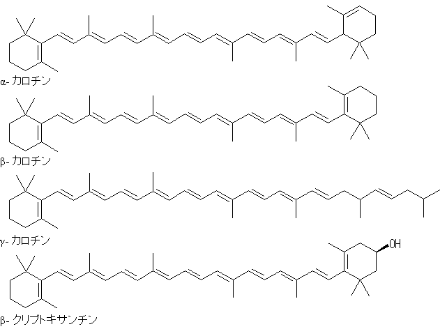 代表的なプロビタミンAの構造