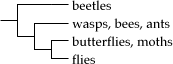 This cladogram shows the relationship among various insect groups. In some cladograms, the length of the horizontal lines indicates time elapsed since the last common ancestor.