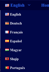 Languages available on GIN site