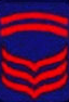 Police Senior master sergeant (P/SMSg) Philippine National Police