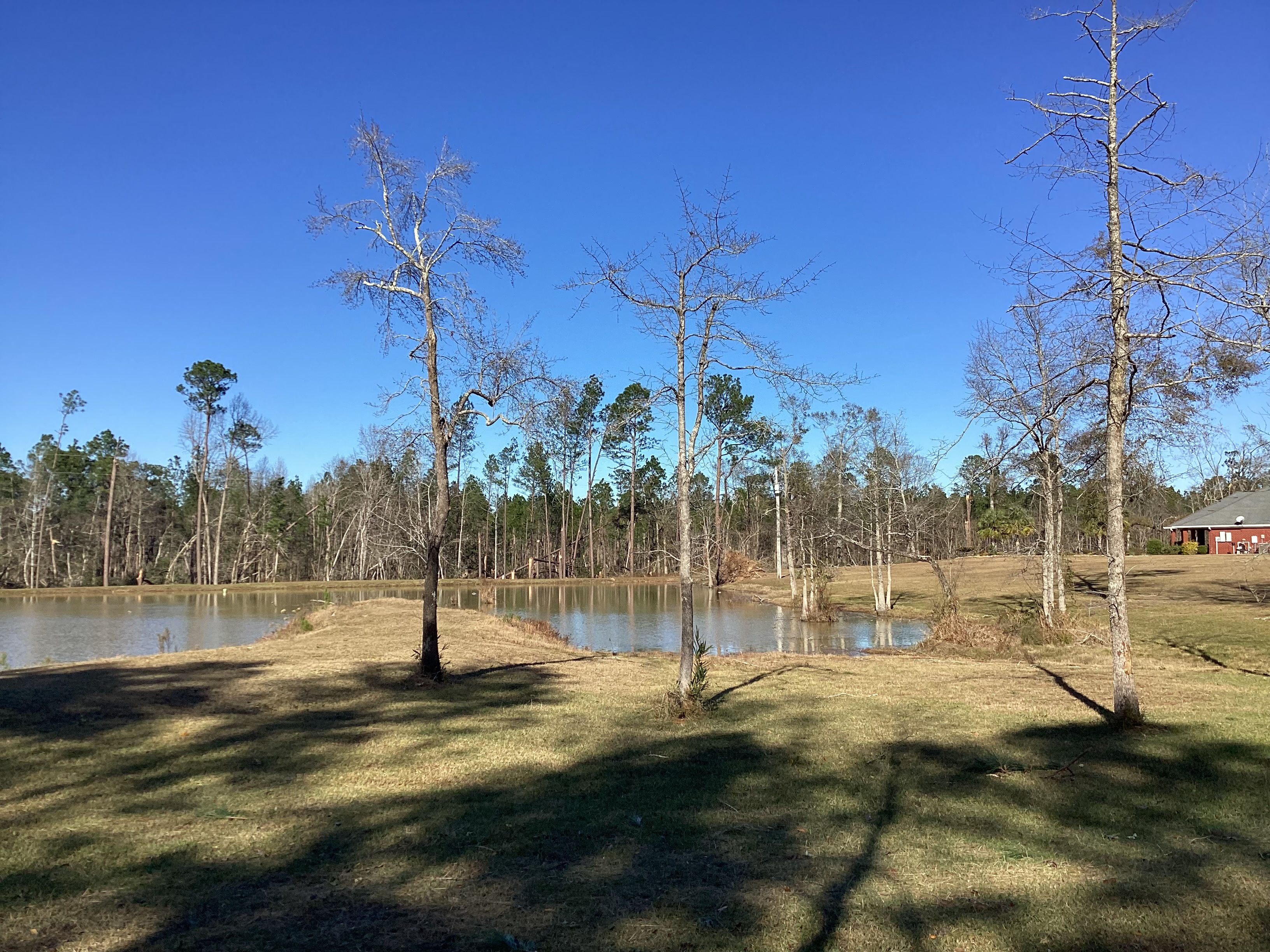 Low-end EF3 tree damage west of Tibble, Alabama.