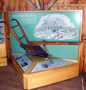 Exhibit of 19th century farm implements at River Bend Farm