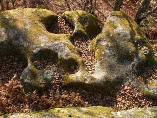 Un rocher avec les marmites de sorcières (formes naturelles).