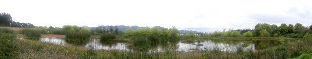 La Conejera wetland, part of the reserve