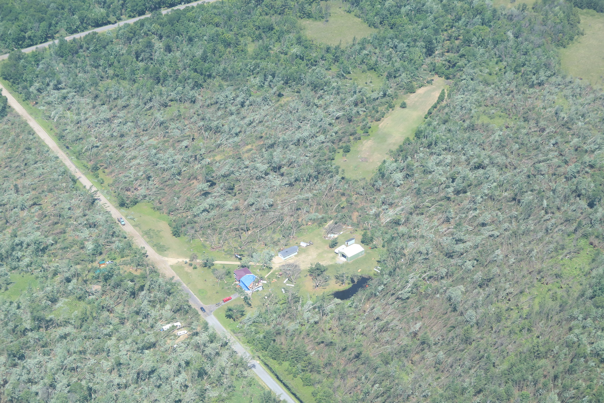 Trees flattened by an EF2 tornado near Wyeville, Wisconsin.