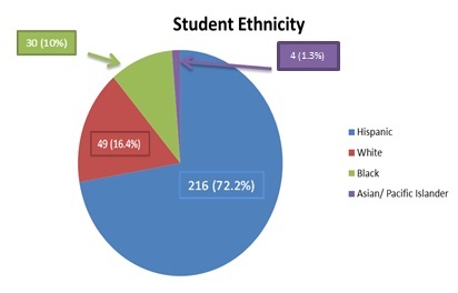 Student ethnicity