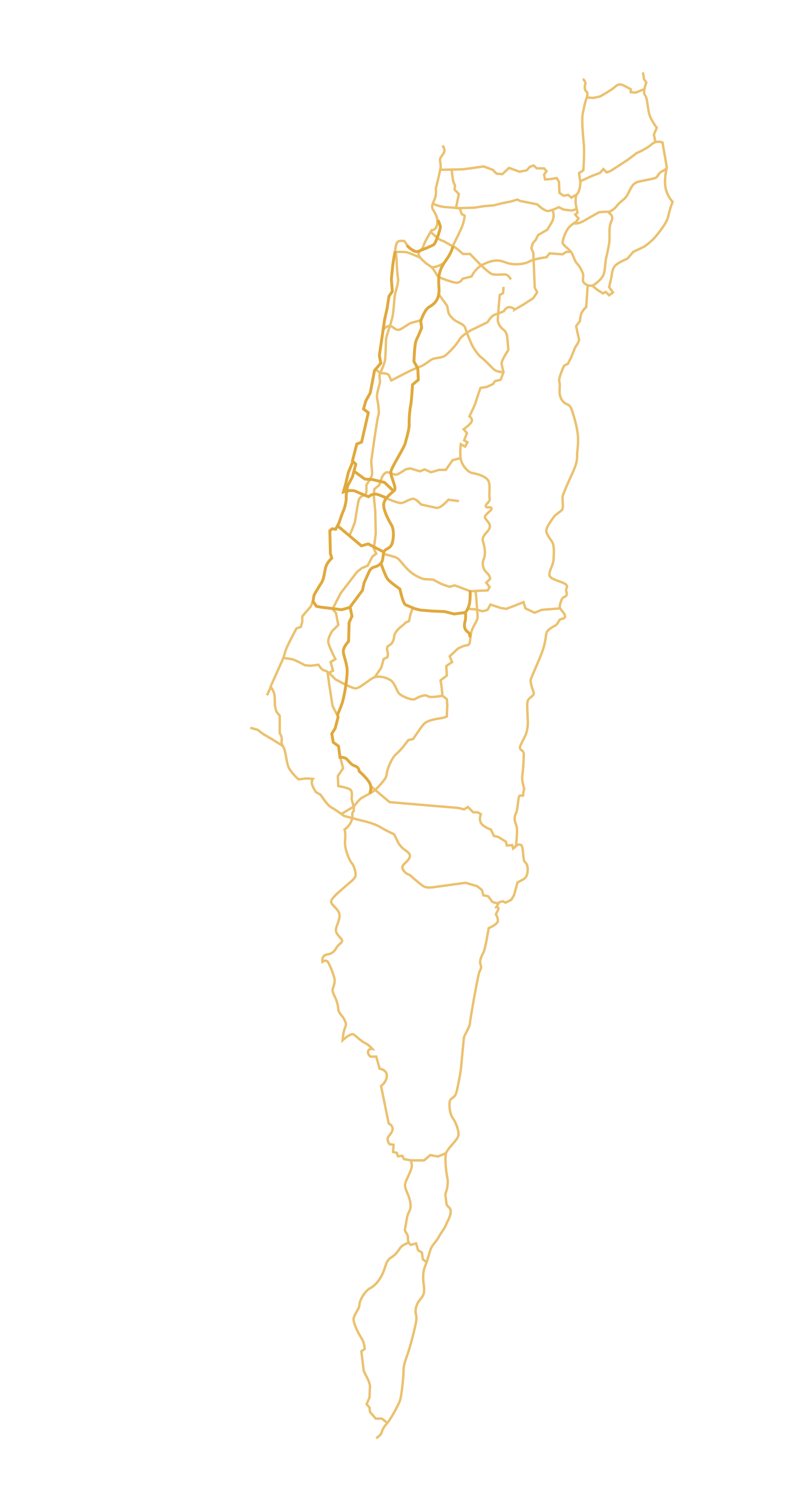 Israeli-Palestinian conflict detailed map/doc