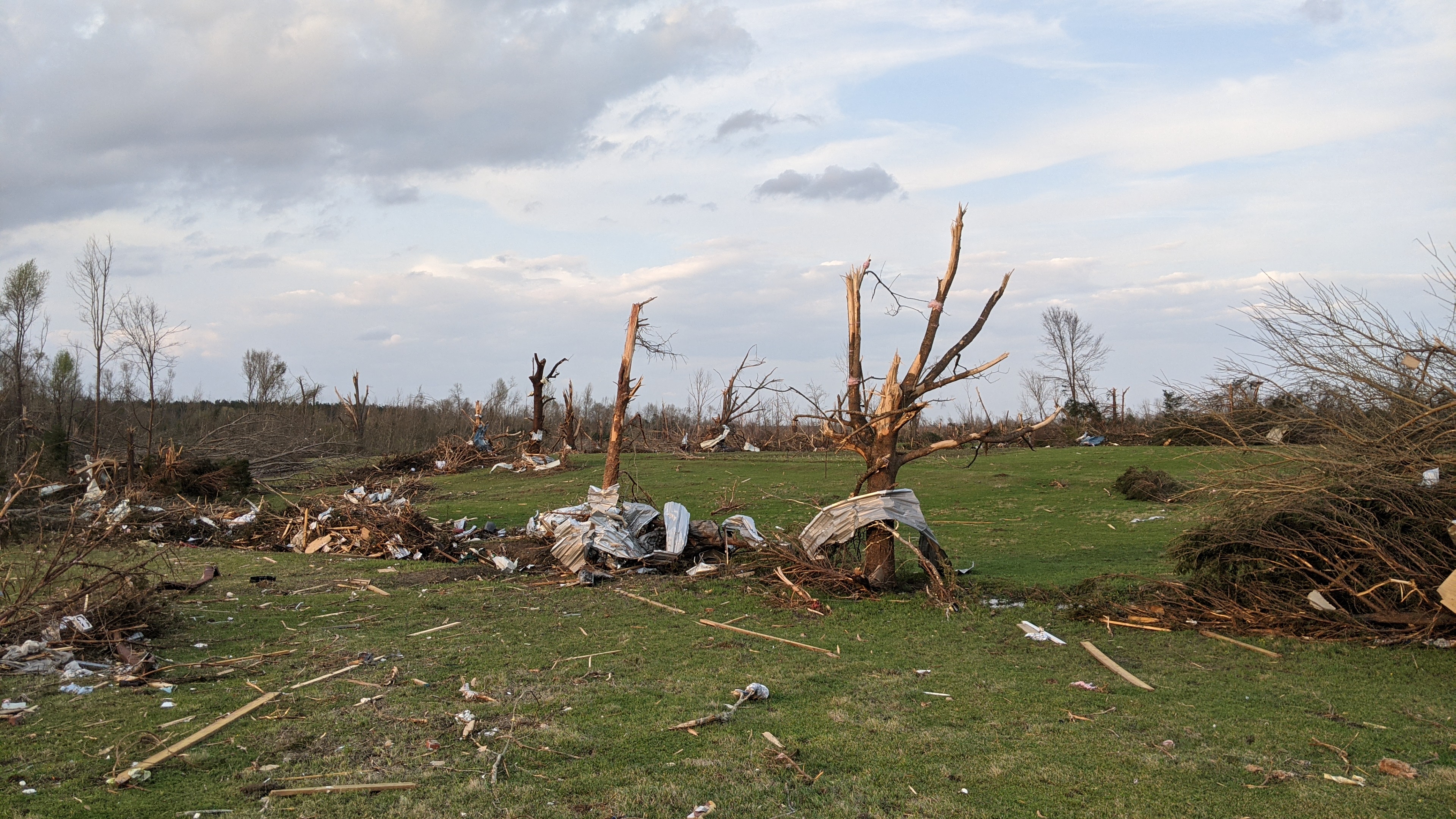 Heavy EF3 damage to trees in a debris-strewn field south of Sawyerville, Alabama.