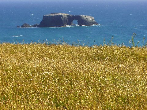 Pacific Ocean at Jenner, California