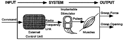 Un diagramma a blocchi che mostra l'input e gli output di un sistema di neuroprotesi.