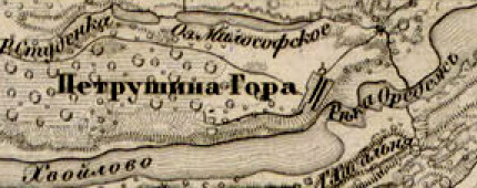 Деревня Петрушина Гора на карте 1863 г.