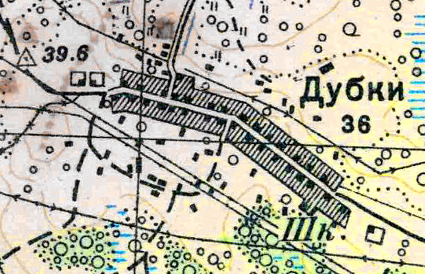 План деревни Дубки. 1939 год