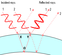 En este diagrama vemos dos rayos de luz roja (rayos 1 y 2). Ambos rayos se dividen igual que antes y siguen dos caminos posibles, pero solo estamos interesados en los caminos representados con líneas continuas. Consideremos el rayo que emerge del punto Y. Consiste en dos rayos superpuestos: la parte del rayo 1 que atravesó la pared de la pompa y la parte del rayo 2 que se reflejó en la pared exterior. El rayo 1 ha viajado una distancia XOY mayor que la del rayo 2. Como XOY resulta tener la misma longitud que la longitud de onda de la luz roja, los dos rayos están en fase (las crestas y los valles están juntos).