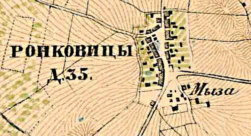 План деревни Ронковицы. 1885 год