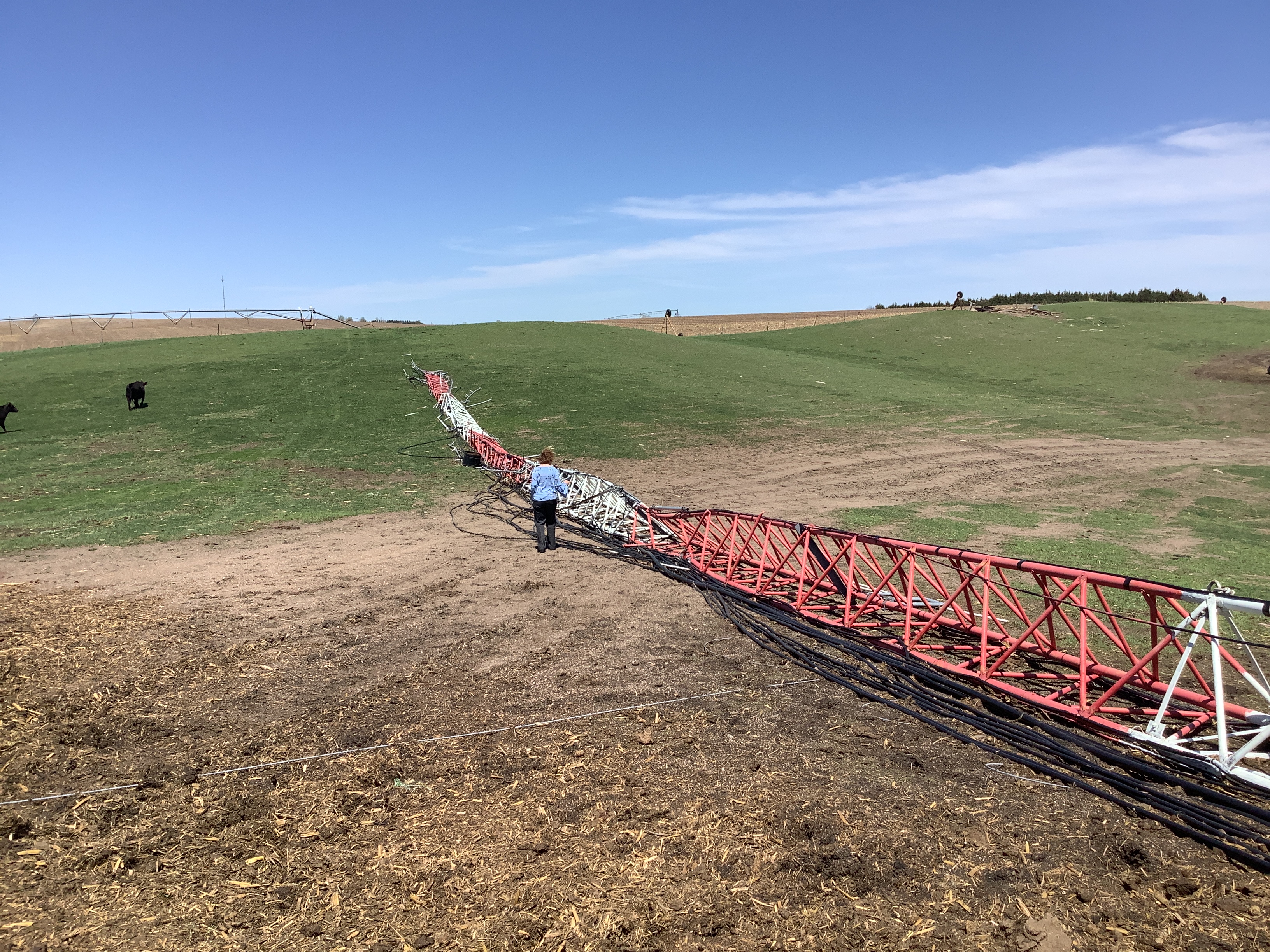 A cell tower that was blown over in Hartington, Nebraska.