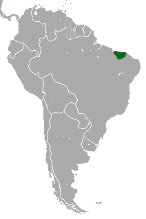 Distribuição geográfica.