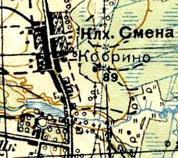 План деревни Кобрино. 1931 год