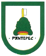 Creat representing Pantepec, with a green hill in the middle. At the top of the hill is a white flag, and at the bottom is a yellow and orange oval. The crest is outlined in green.