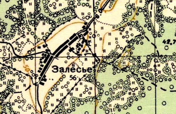 План деревни Залесье. 1941 год