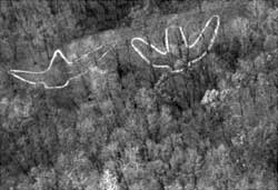 Effigy Mounds National Monument