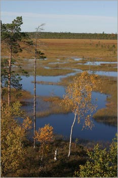 Pudasjärvi