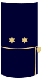 Lieutenant