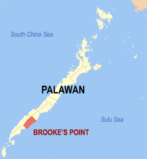 Mapa han Palawan nga nagpapakita kon hain nahamtangan an Brooke's Point