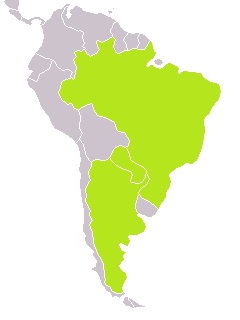 Hábitat en Brasil, Paraguay y Argentina