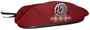 1er Circled Winged Armed Dextrochere of French Army Metropolitan Paratroopers