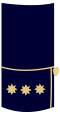 Colonel