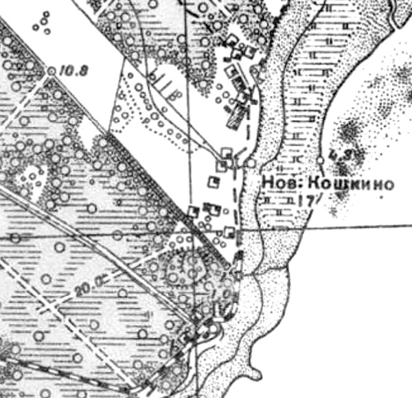 Деревня Кошкино на карте 1939 года