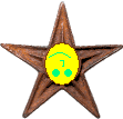 Barnstar of Random Edits.png