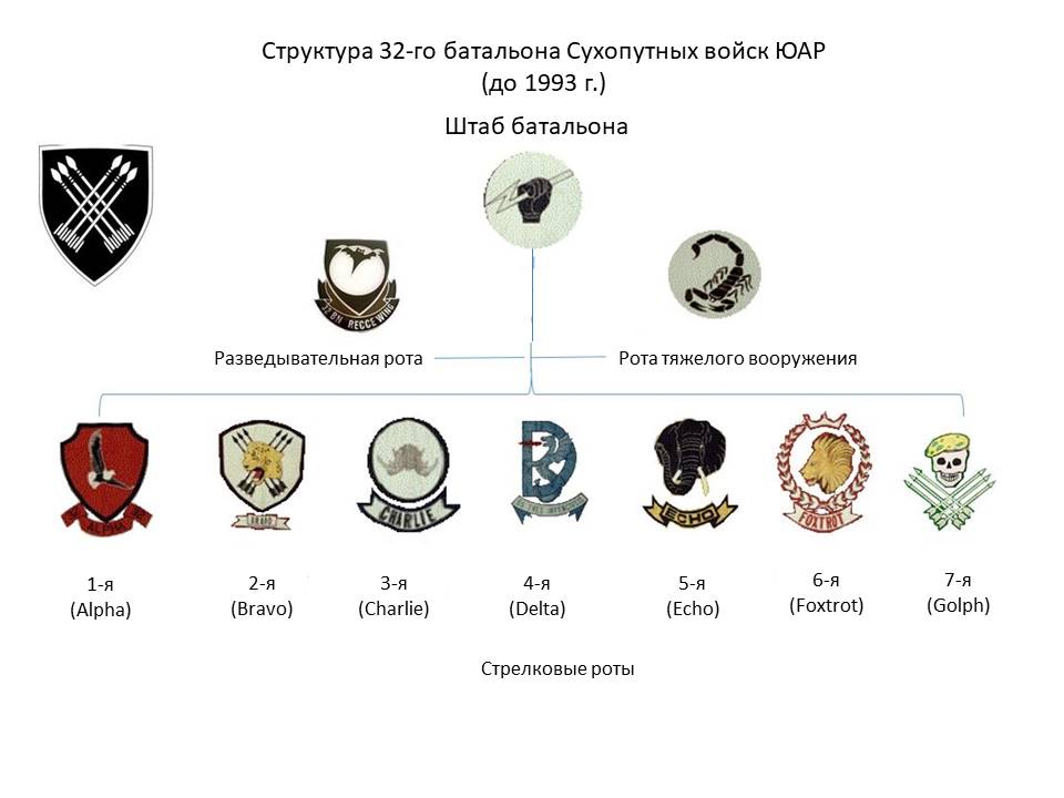 Штат 32-го батальона Сухопутных войск ЮАР (до 1993 г.)