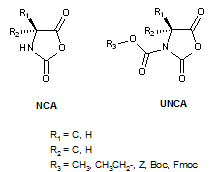 Structures des NCA et UNCA