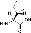 isoleucine