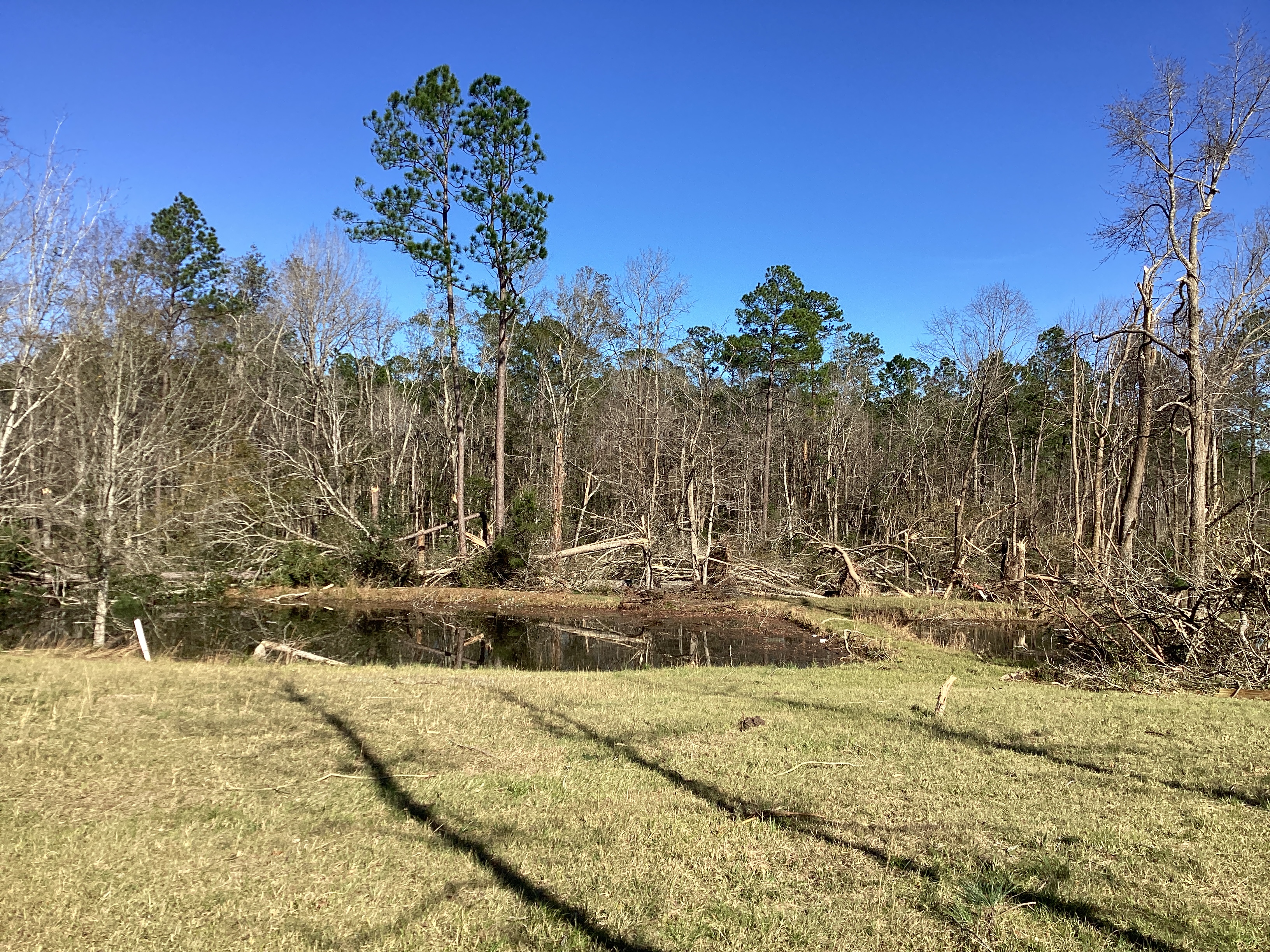 Low-end EF3 tree damage west of Tibble, Alabama.