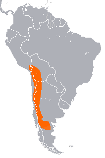 Mapa de distribución de Lagidium viscacia