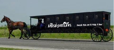 The Amish Outlaws Tour Buggy