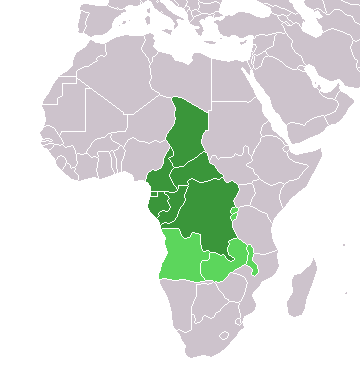 중앙아프리카의 나라들