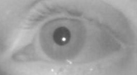 Infrared / near-infrared: dark pupil and corneal reflection.