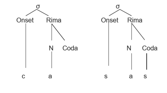 Como estruturar a palavra casas no modelo não-linear