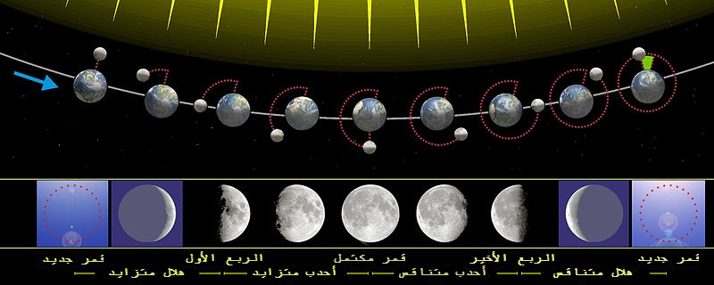 التغيرات الزاوية الشهرية بين اتجاه الإضاءة من الشمس والمظهر من الأرض وطور القمر كنتيجة.
