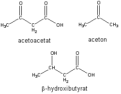 Kemisk struktur för ketonkropparna