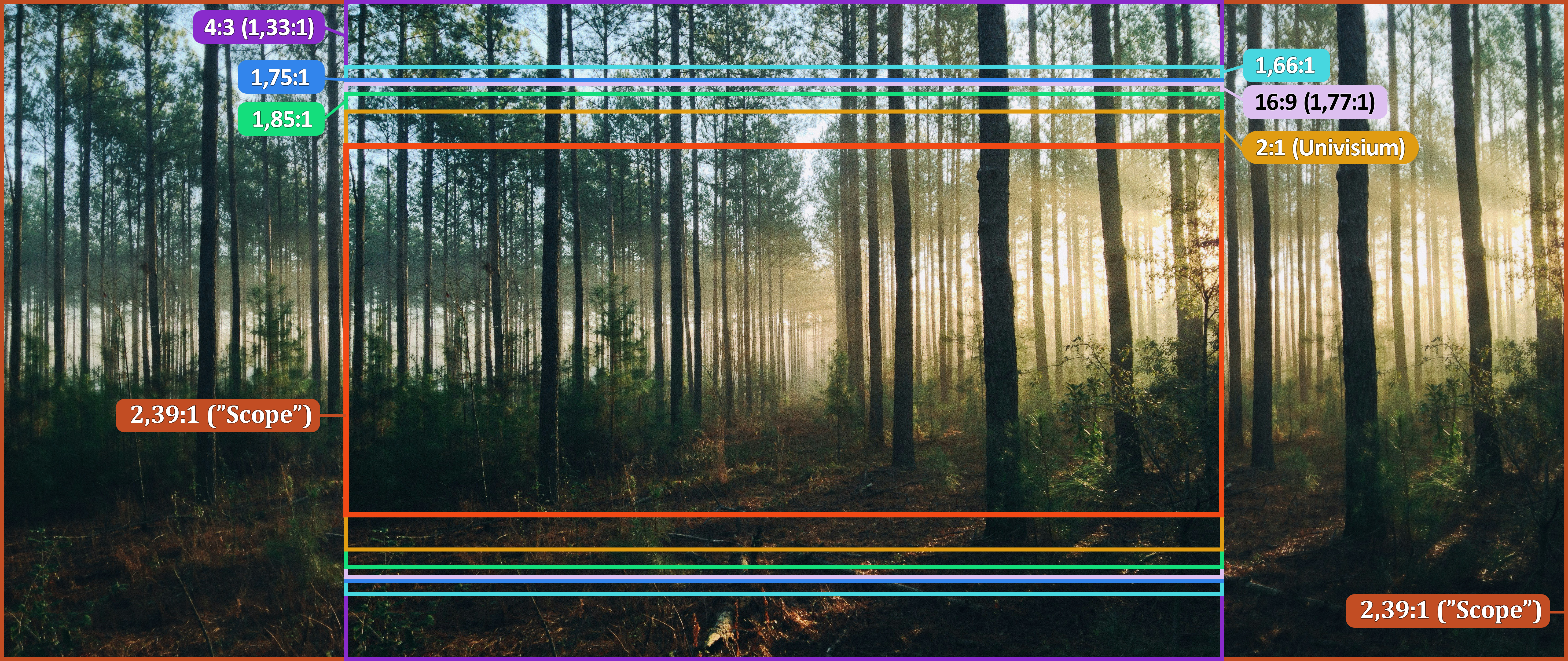 Bild för att jämföra olika bildformat. Den visar, med linjer och text, var gränserna går för olika format. Varje format har sin egen färg. Vid första anblick kan det se ut som att strecken ligger ovanpå en foto som är i det väldigt breda formatet 2,39:1. Ett foto som visar en stig genom en skog med höga tallar och några små granar en solneduppgång som lyser genom dimma, och man ser inte var stigen slutar. Men egentligen är det ett foto i 4:3-format, och på höger och vänster sida har delar av bilden redigerats in för att fylla ut ytan och ge en ungefärlig uppfattning om hur det skulle se ut om fotot var i 2,39:1. Följande bildformat visas, här listat från minst breda till bredaste: lila: 4:3 (1,33:1), turkos: 1.66:1, blå: 1.75:1, ljus violett: 16:9 (1.77:1), grön: 1.85:1, brandgul: 2:1 (Univisium), röd: 2.39:1 ("Scope").