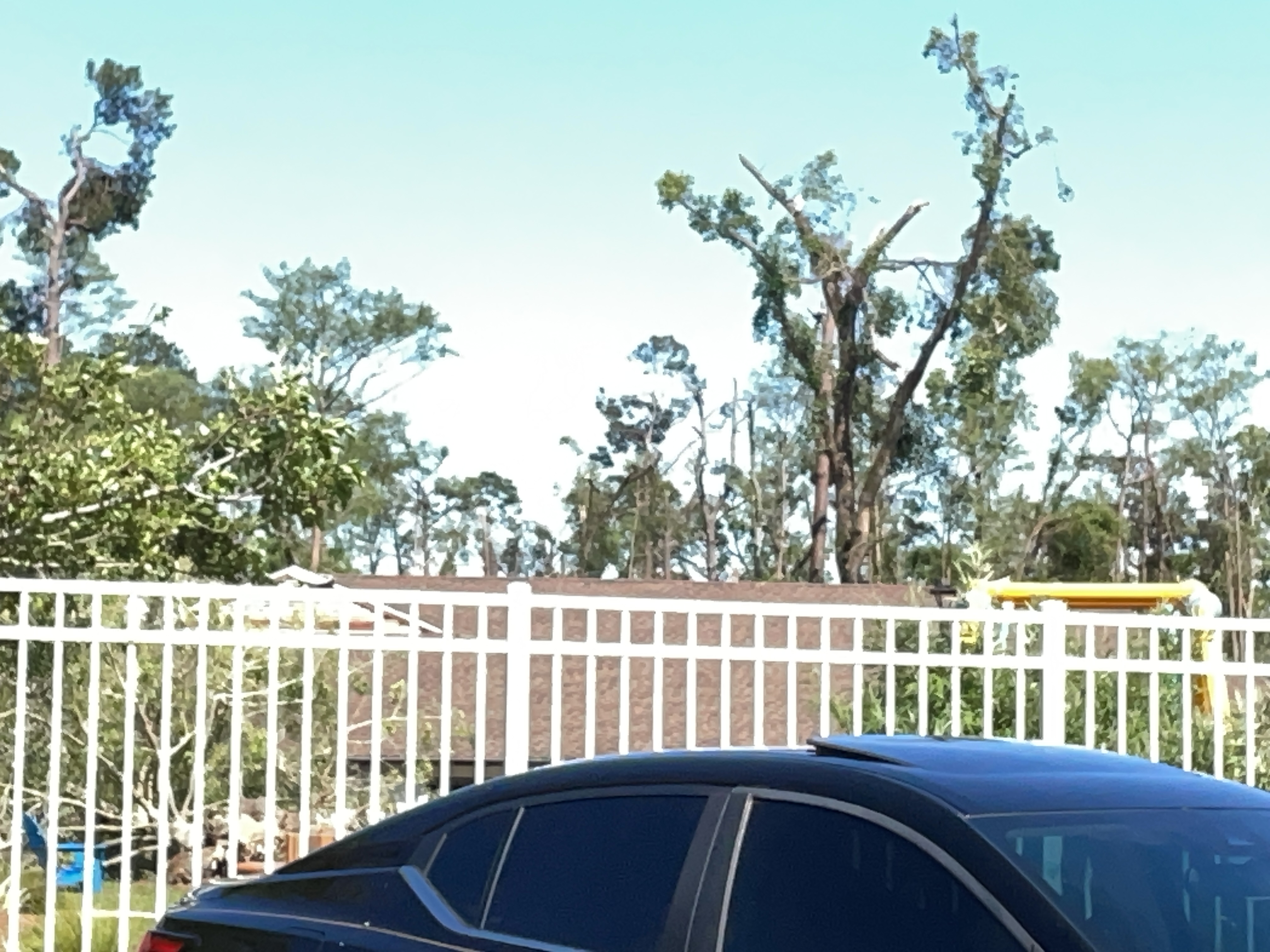 Low-end EF2 tree damage from the 1st Tallahassee tornado.