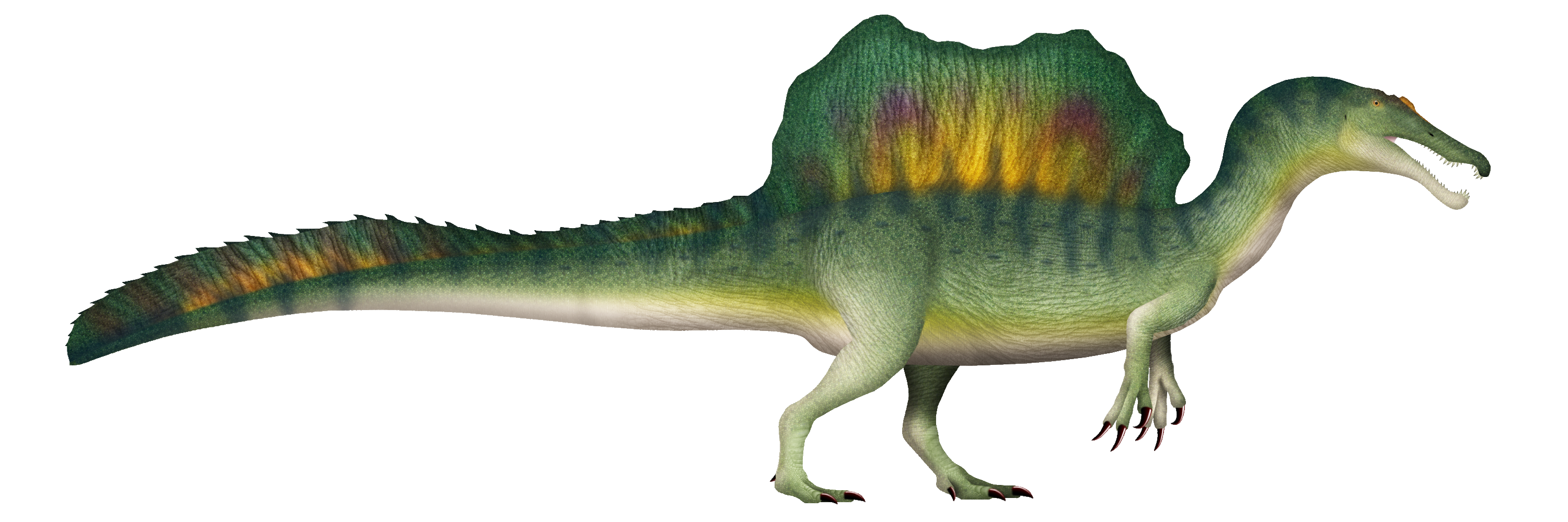 Spinosaurus_UDL