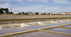 Marais salants.