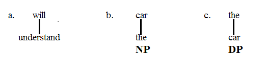 NP vs. DP 1.1